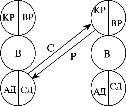 Психология поведения жертвы - i_009.png