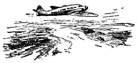 Кукла госпожи Барк - pic_13.png