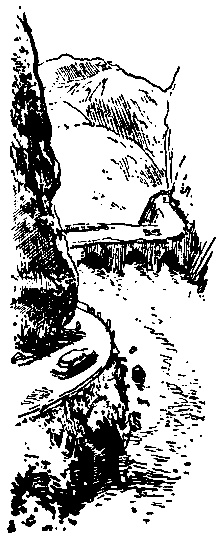 Кукла госпожи Барк - pic_17.png