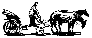 Кукла госпожи Барк - pic_18.png