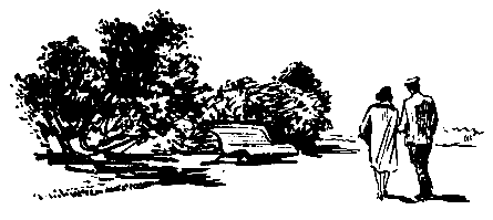 Кукла госпожи Барк - pic_32.png