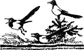 Кладовая солнца (сборник) - i_003.png