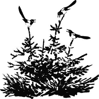 Кладовая солнца (сборник) - i_004.png