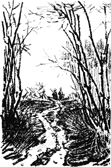 Кладовая солнца (сборник) - i_005.png