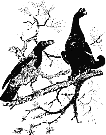 Кладовая солнца (сборник) - i_006.png