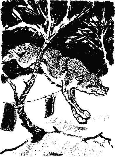 Кладовая солнца (сборник) - i_007.png