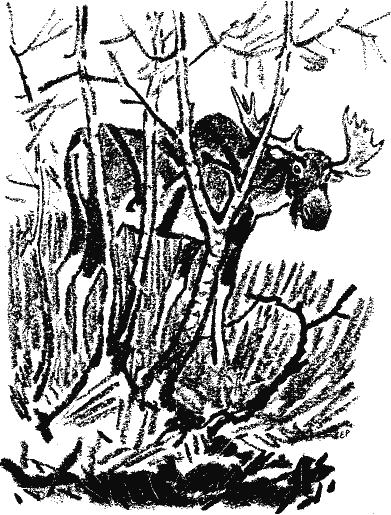 Кладовая солнца (сборник) - i_009.png