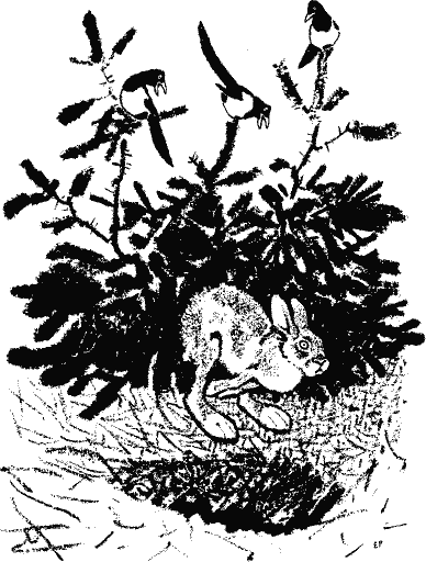 Кладовая солнца (сборник) - i_011.png