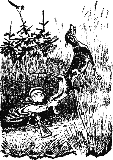 Кладовая солнца (сборник) - i_012.png