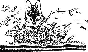 Кладовая солнца (сборник) - i_014.png