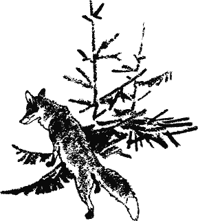 Кладовая солнца (сборник) - i_015.png