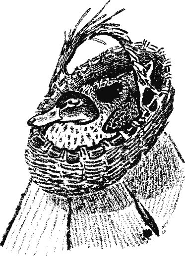 Кладовая солнца (сборник) - i_016.png