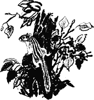 Кладовая солнца (сборник) - i_017.png