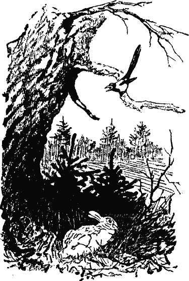 Кладовая солнца (сборник) - i_018.png