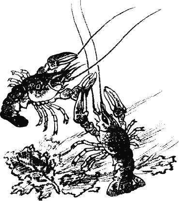 Кладовая солнца (сборник) - i_019.png