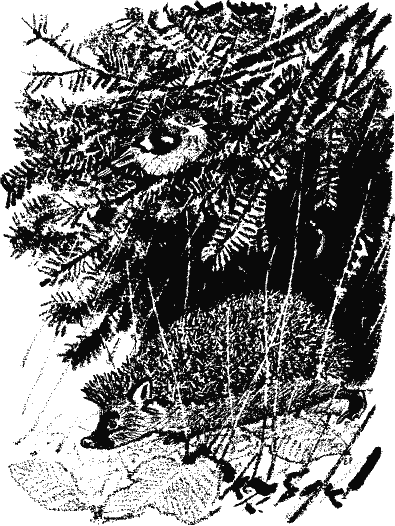 Кладовая солнца (сборник) - i_020.png