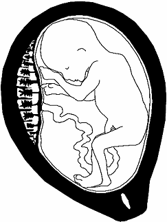 Всё о беременности: этапы - _09.png