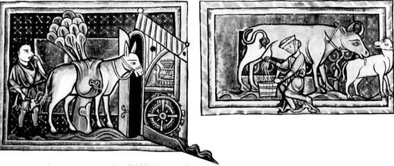 Западная Европа XI-XIII веков - _091.jpg