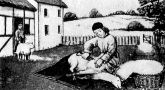 Западная Европа XI-XIII веков - _093.jpg