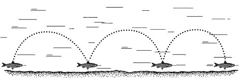 Рыбалка по открытой воде - _59.jpg