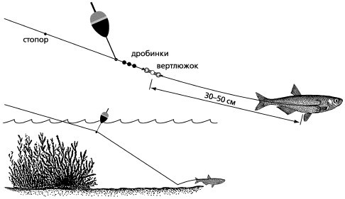 Рыбалка по открытой воде - _185.jpg