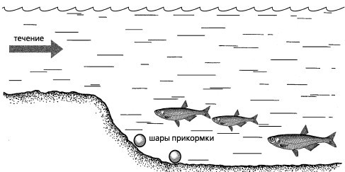 Рыбалка по открытой воде - _97.jpg