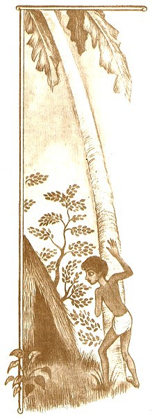 Робинзоны из Бомбея - i_027.jpg