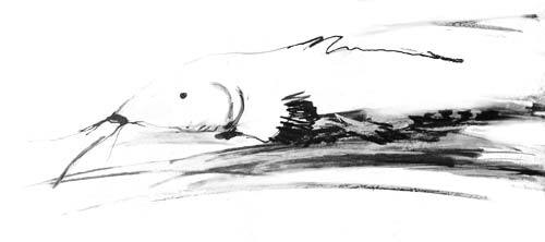 Чевенгур - platonov_00l.jpg