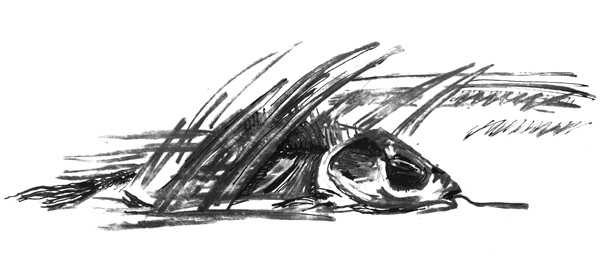 Чевенгур - platonov_28l.jpg