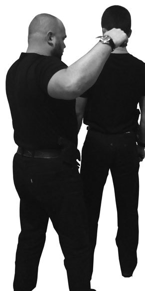 Жесткая книга приемов - i_036.jpg