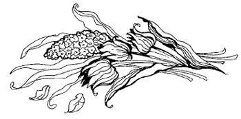 Снігова Королева - _83.jpg