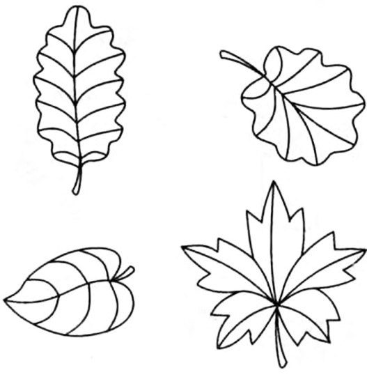 Развитие речи для малышей в рассказах и веселых картинках - pic_62.jpg