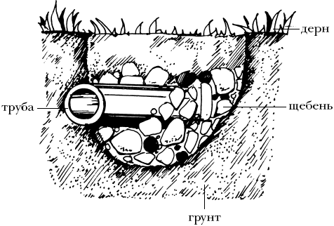 Умному огороднику. Ответы на самые важные вопросы - _08.png