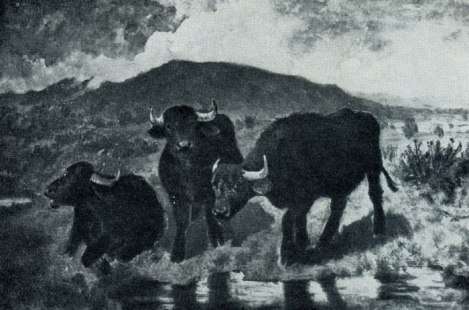 Всеобщая история искусств в шести томах. Том 5 (с иллюстрациями) - doc2fb_image_020001A2.jpg