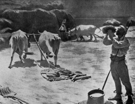 Всеобщая история искусств в шести томах. Том 6. Книга 1 (с иллюстрациями) - _507.jpg