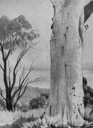 Всеобщая история искусств в шести томах. Том 6. Книга 1 (с иллюстрациями) - _463.jpg