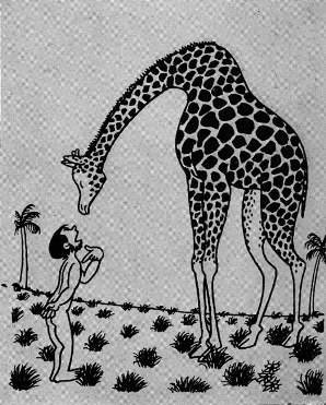 Всеобщая история искусств в шести томах. Том 6. Книга 1 (с иллюстрациями) - _73.jpg