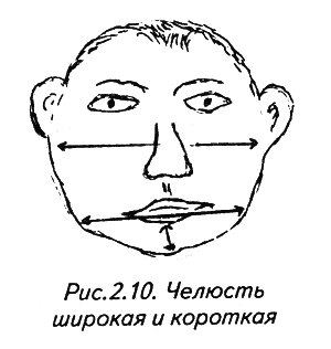 История лица. Мастерская физиогномического психоанализа - i_014.png