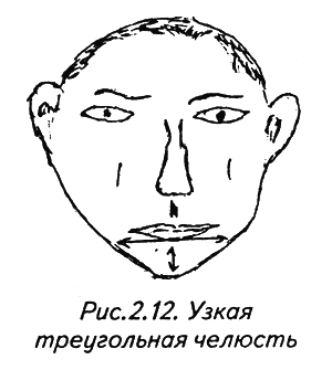 История лица. Мастерская физиогномического психоанализа - i_016.png