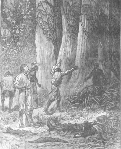 Похитители бриллиантов (др. изд.) - i_011.jpg