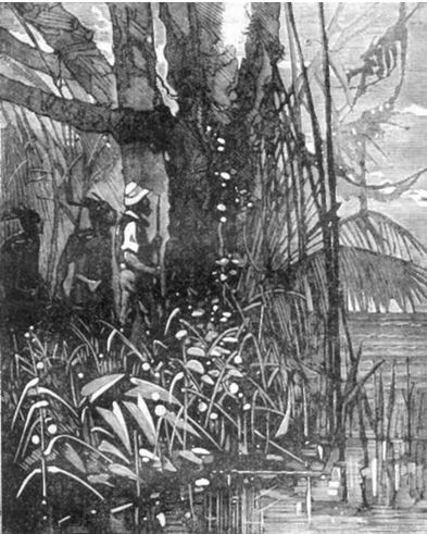 Похитители бриллиантов (др. изд.) - i_050.jpg