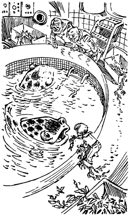 Путешествие Алисы (др. изд.) - p12.jpg