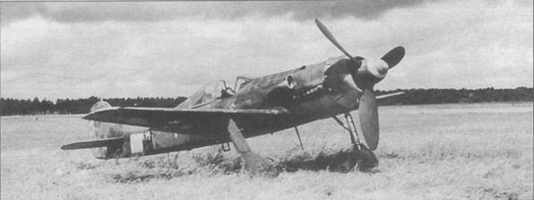 Focke Wulf Fw 190D Ta 152 - pic_103.jpg