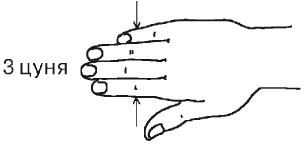 Кисть и стопа: лечение по энергетическим точкам. Секреты красоты и здоровья. Су-джок - i_012.jpg