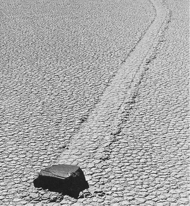 100 великих загадок природы - i_016.jpg