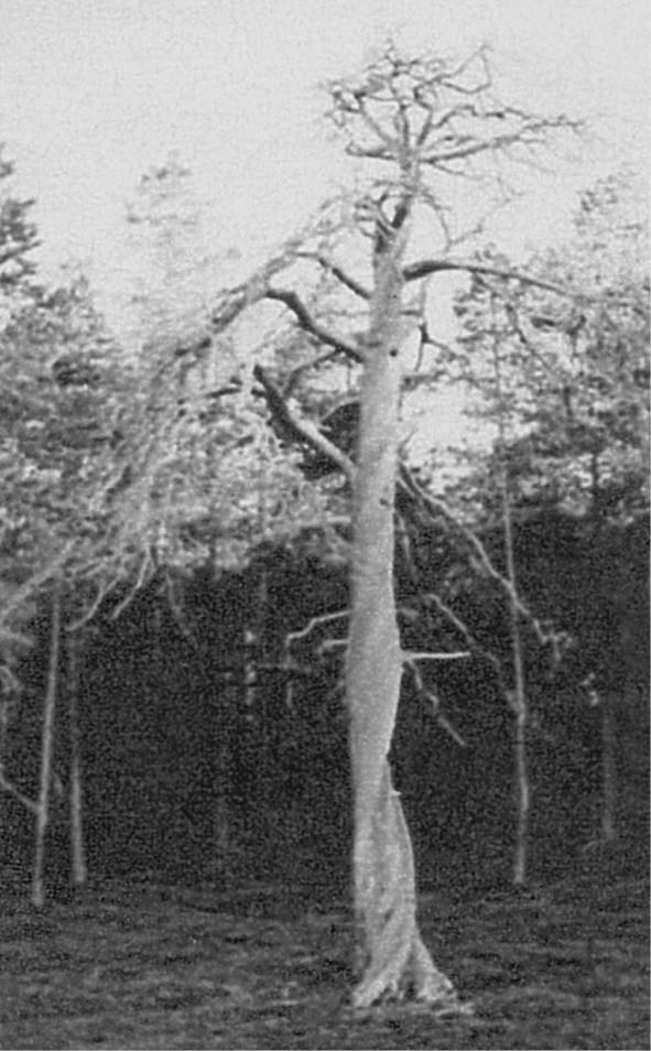 100 великих загадок природы - i_028.jpg