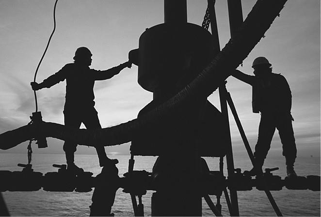 100 великих загадок природы - i_030.jpg