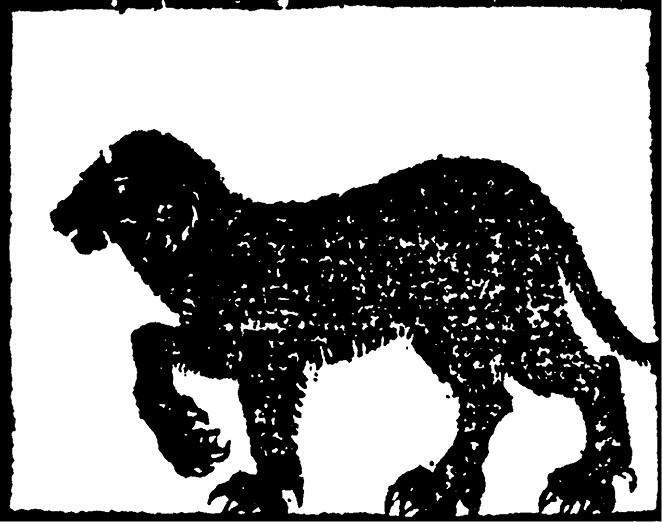 100 великих загадок природы - i_032.jpg