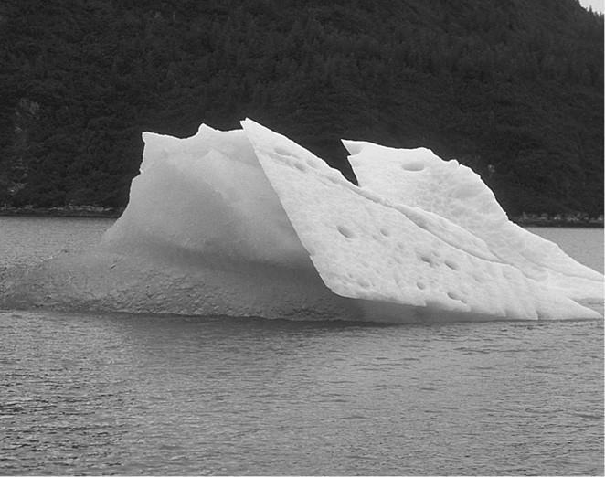 100 великих загадок природы - i_034.jpg