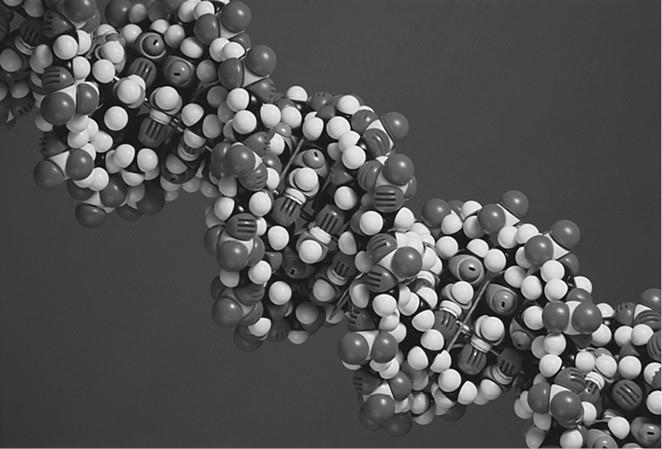 100 великих загадок природы - i_035.jpg